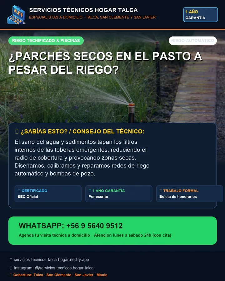 Pieza informativa: parches secos en el pasto