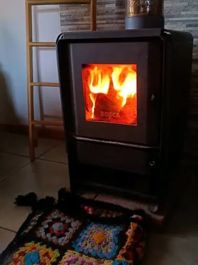 Estufa a leña encendida con fuego vivo y el vidrio limpio