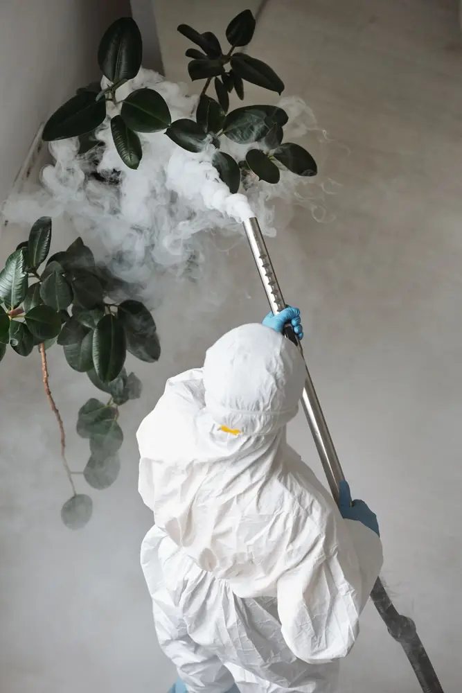 Técnico con traje de protección nebulizando junto a una planta en un interior